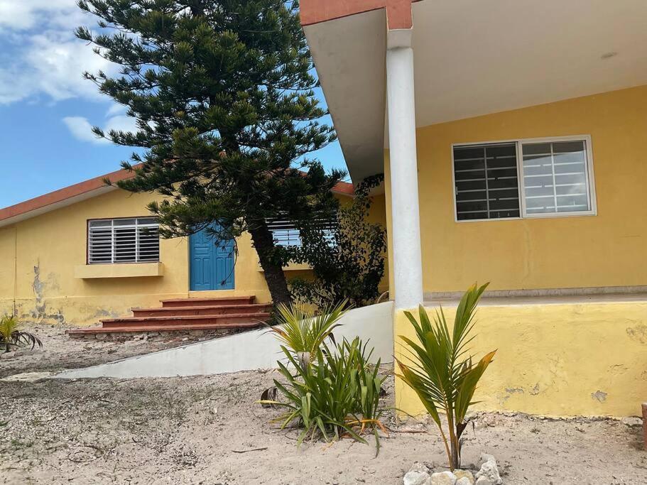 فيلا La Casa Amarilla Frente Al Mar تشيليم المظهر الخارجي الصورة